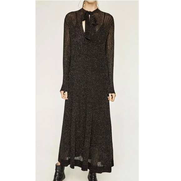 Zara Dresses & Skirts - ZARA Metallic Long Sleeve Knit Maxi Dress